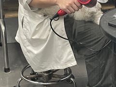 -芭比堂爱心动物医院·心脏科·犬猫内科(越城可乐分院)