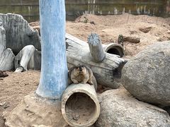 -泉州海丝野生动物世界