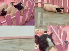 -渔岛海洋度假区