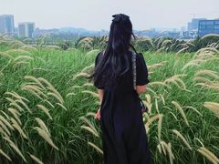 -光明小镇欢乐田园
