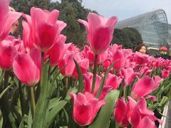-南山植物园