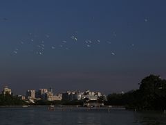 -老表记广西宵夜螺蛳鸭脚煲(西大店)
