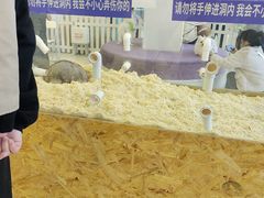 -怪兽屋·羊驼·猫咖·狗咖(俊华广场店)