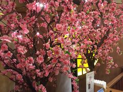 -牛New寿喜烧(青浦店)