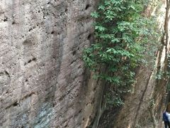 -武夷山风景名胜区-虎啸岩