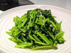 -白沙码头海鲜广场
