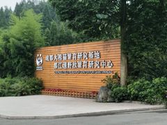 -都江堰中华大熊猫苑