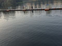 -重庆彩云湖湿地公园