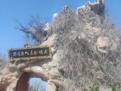 -大槐树寻根祭祖园