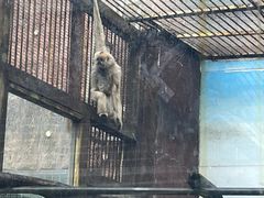 -昆明动物园