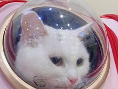 -美联众合动物医院·24h转诊中心