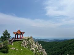 -苏木山森林公园