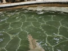 -郑州银基黄帝宫御温泉