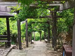 -缥缈峰景区