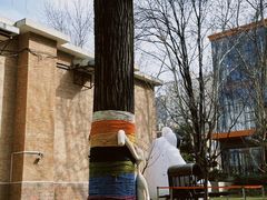 -西安电影制片厂