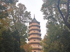 -灵谷景区