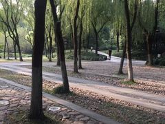 -柳浪闻莺公园