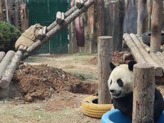 -大连森林动物园