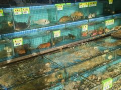 -瑶记海鲜餐厅(西涌店)