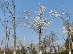 -滨湖塘西河公园