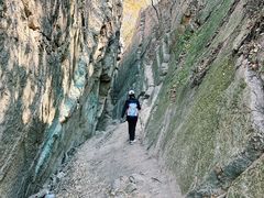 -镇江市南山风景名胜区竹林景区
