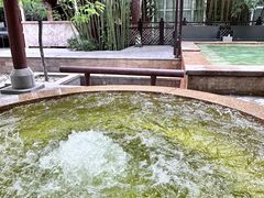 -春晖园度假酒店温泉