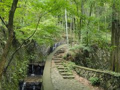 -莫干山风景区