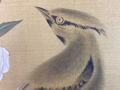 -六出私塾LiuChu•成人美术书法系统课程专业画室(熊婆婆的花园店)