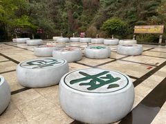 -苍山感通索道