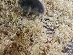 -苏州海洋馆