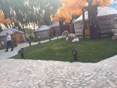 -大汗行宫园林餐厅