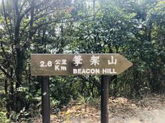 -狮子山郊野公园