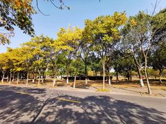 -上海海事大学(临港校区)