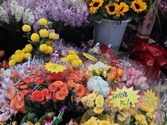 -越秀西湖花市(广州城市广场花卉店)