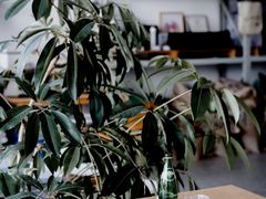 -DEEP COFFEE(瑞光烘焙工厂店)