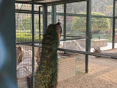 -青岛鑫江温德姆酒店