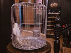 -翠园十八号庭院餐厅