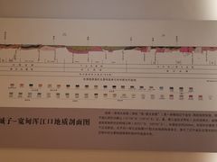 -辽宁古生物博物馆