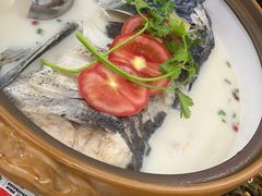 -全乐鱼馆·淳牌有机鱼直营店