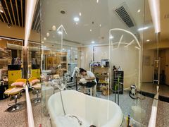 -momokira米努特·德文卷毛猫·棉花面纱犬