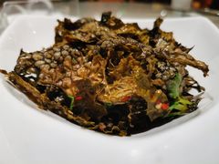 -阿斯牛牛·凉山菜(新会展店)