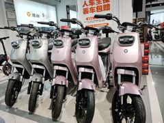 -雅迪电动车(北艾路店)