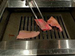 -俺的焼肉(銀座9丁目店)