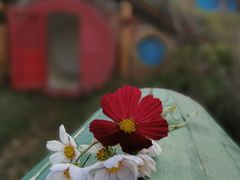 -武汉紫薇都市田园