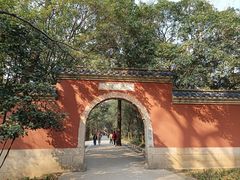 -灵谷景区