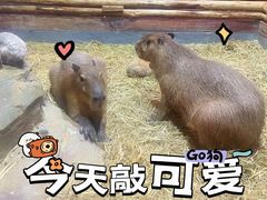 -顺德南宏海立方海洋公园