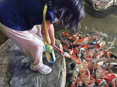 -泉城欧乐堡海洋极地世界