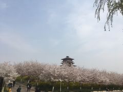 -古柏渡飞黄旅游区