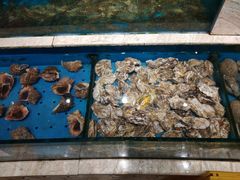 -福娣·金沙银贝海鲜火锅