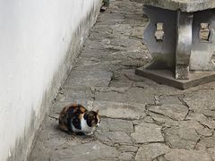 -西园戒幢律寺